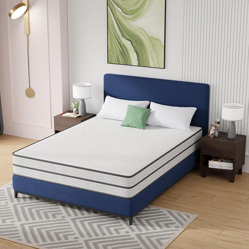 Catmint Mattress - Sweet Dreams Bedding & Furn (PA)