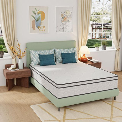 Catmint Mattress - Sweet Dreams Bedding & Furn (PA)