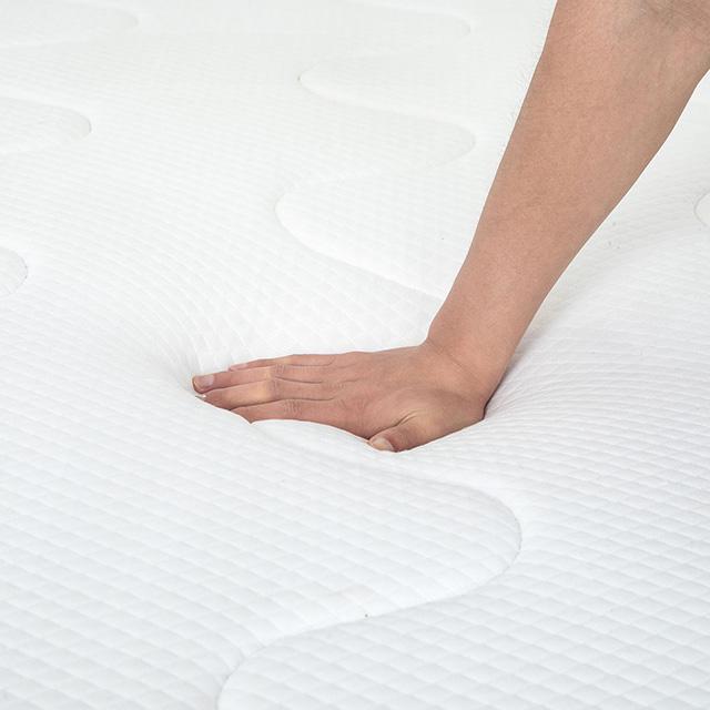 Catmint Mattress - Sweet Dreams Bedding & Furn (PA)