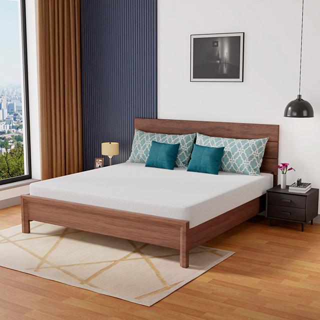 Coreopsis 8" Memory Foam Wave Comfort