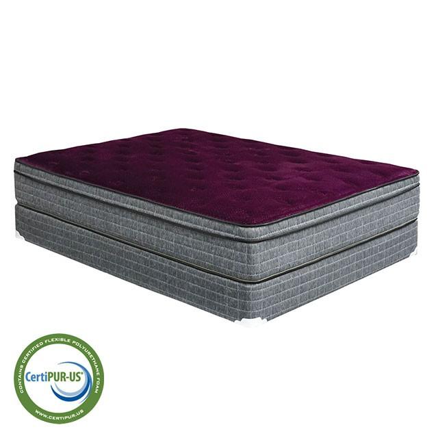 Purple/Grey 13" Euro Pillow Top Mattress Non-Flip, Full - Sweet Dreams Bedding & Furn (PA)