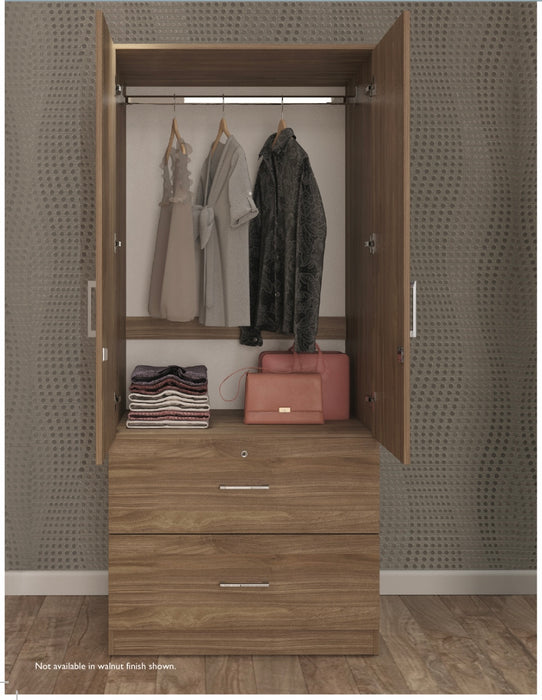 2 Door Locking Wardrobe