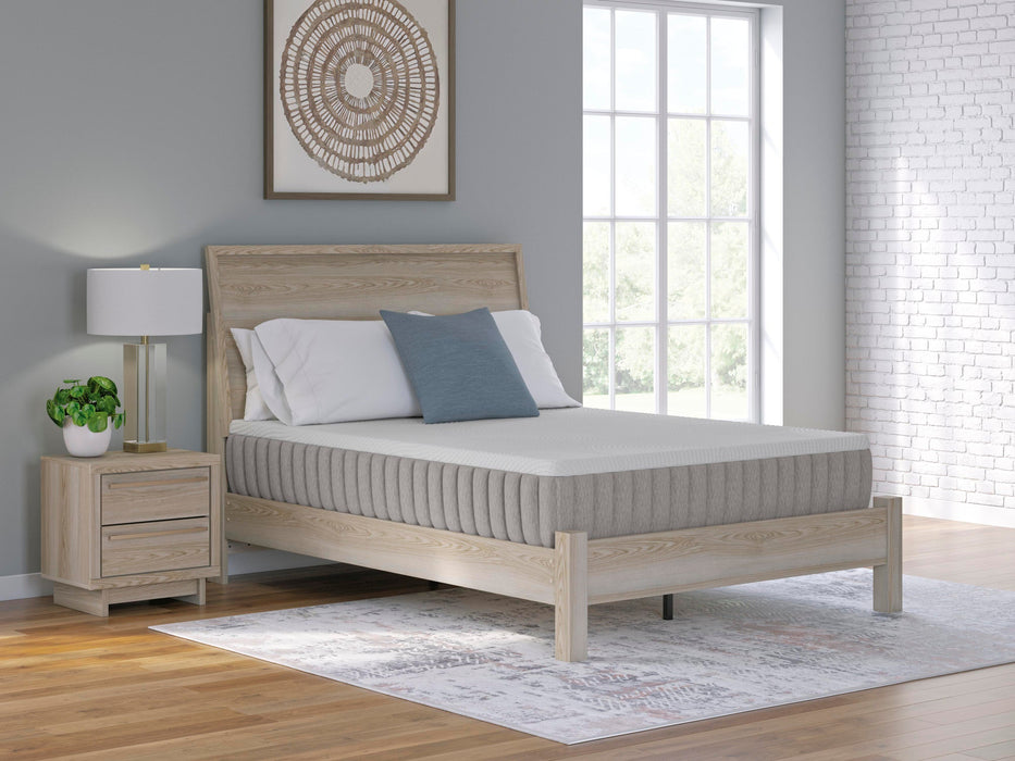 Terra Sleep Firm Mattress - Sweet Dreams Bedding & Furn (PA)