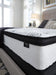 Chime 12 Inch Hybrid Mattress in a Box - Sweet Dreams Bedding & Furn (PA)
