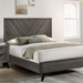 Vagan Queen Bedroom Set - Sweet Dreams Bedding & Furn (PA)